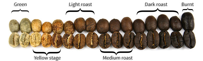 Roasting Profiles